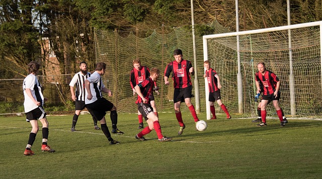 展现了这种 展现了这种