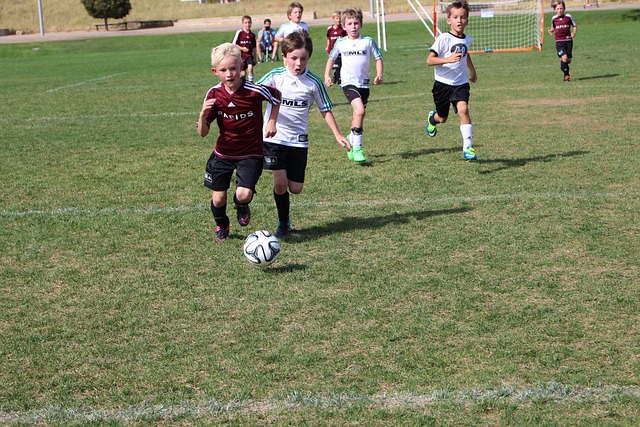 於里爾來說 於里爾來說