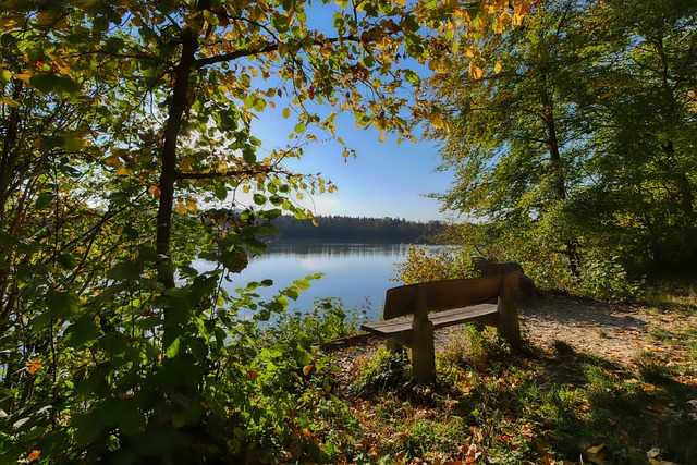 无论最终罗 无论最终罗