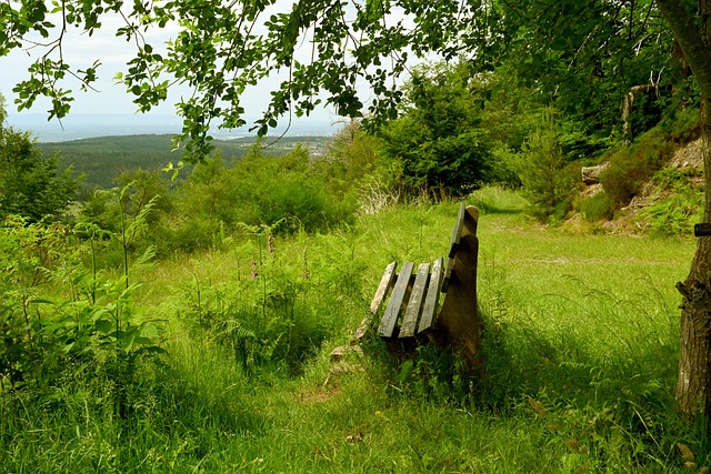 比心动作 比心动作